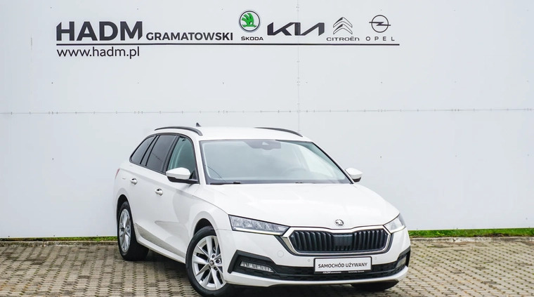 nowy targ Skoda Octavia cena 79900 przebieg: 186500, rok produkcji 2021 z Nowy Targ